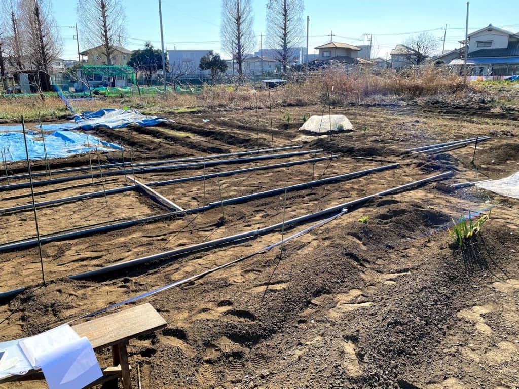 Fabshop Garden
