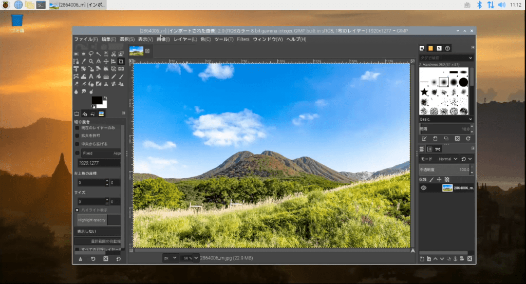 GIMP Grasphics
