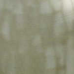 img_8082-858x350_c