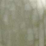 img_8082-864x400_c