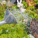 Fabshop Garden