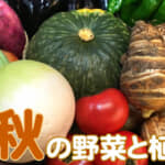 ttl_aki