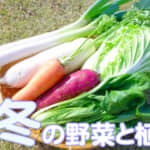 ttl_fuyu