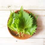 shiso_2