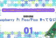 Raspberry Pi Pico/Pico Wってなに?電子工作未経験者でも始められるマイコンボード
