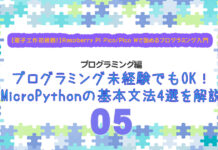 プログラミング未経験OK!MicroPythonの基本文法4選を解説